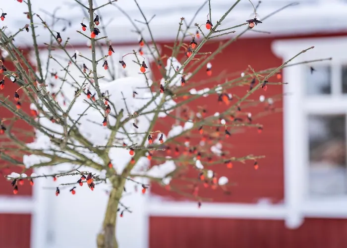 Hundi Main House Casa vacanze *